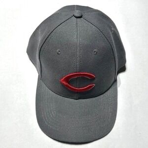 Cincinnati Reds Baseball Hat Grey Red Logo Community Fund Adjustable Dad Cap